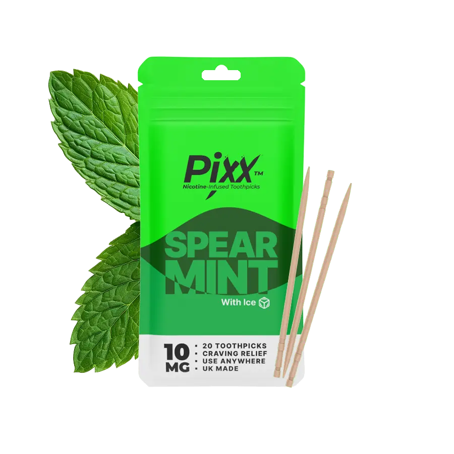 Nicotine toothpicks spearmint Nicpix 10mg