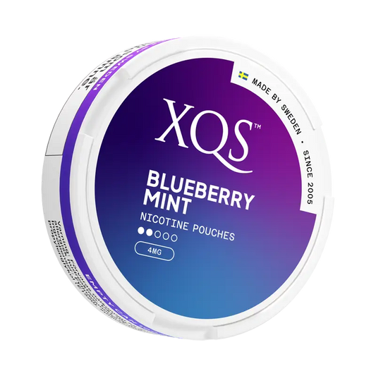 XQS Blueberry Mint - 4mg