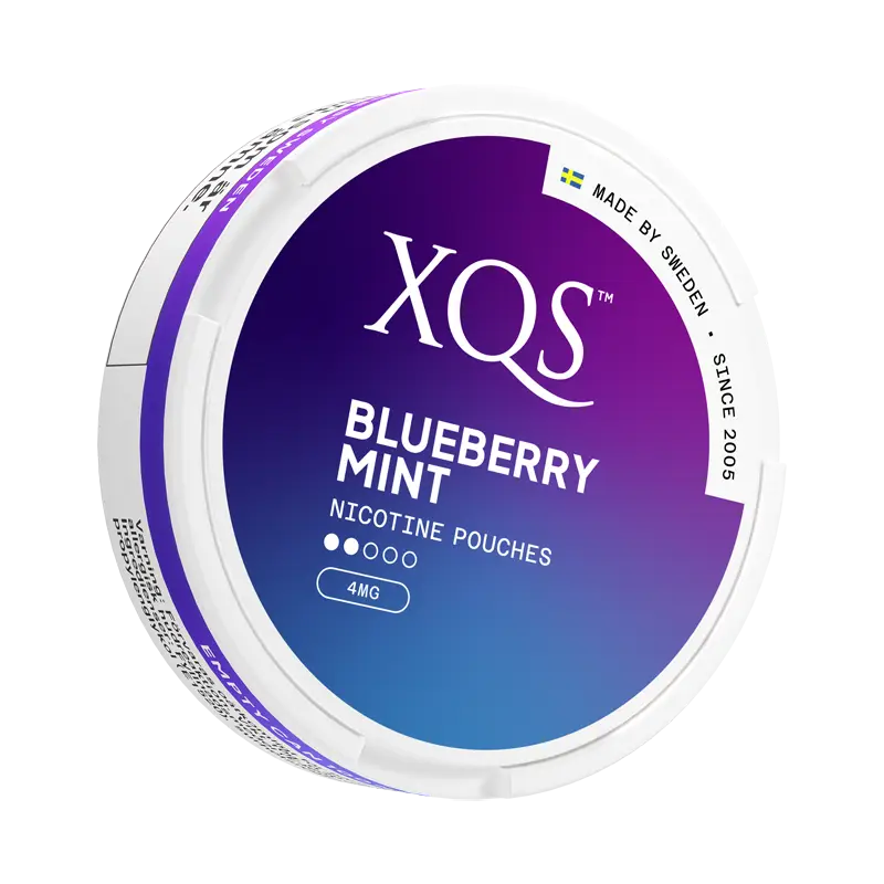 XQS Blueberry Mint - 4mg