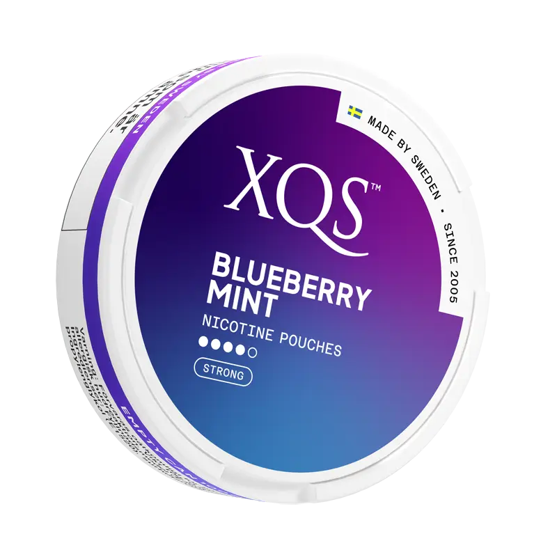 XQS Blueberry Mint - 8mg