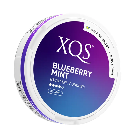 XQS Blueberry Mint - 8mg